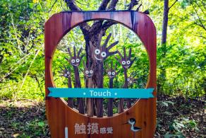 华侨城湿地公园