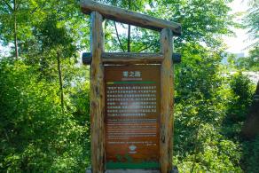 华侨城湿地公园