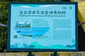 华侨城湿地公园