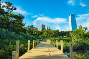 华侨城湿地公园