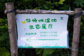 华侨城湿地公园