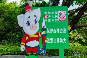 碧海湾公园