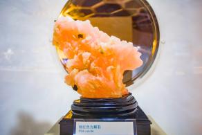 大鹏半岛国家地质公园博物馆