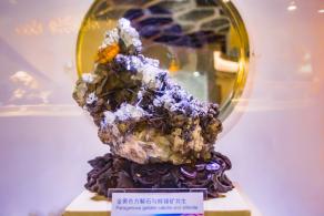 大鹏半岛国家地质公园博物馆
