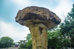 深圳龙园