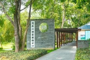 莲花山公园