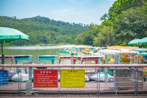 莲花山公园