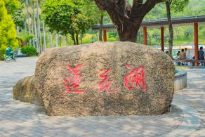 莲花山公园