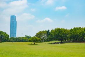 莲花山公园