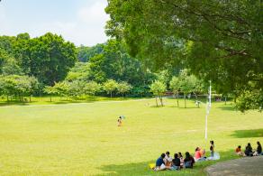 莲花山公园
