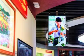 深圳市当代艺术与城市规划馆