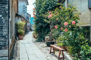 大鹏所城