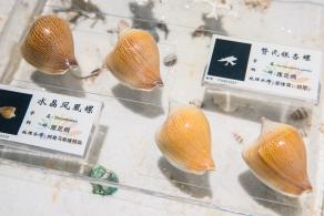蛇口海洋博物馆