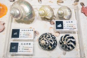 蛇口海洋博物馆