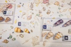 蛇口海洋博物馆