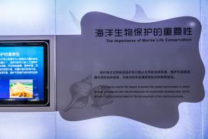 蛇口海洋博物馆