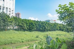 罗湖体育休闲公园