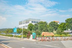 罗湖体育休闲公园