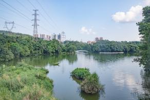 东湖公园