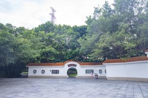 杜鹃园