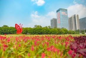 新安花田