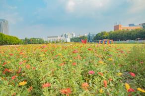 新安花田