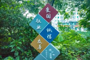 宝安公园