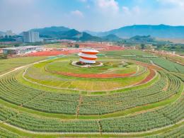 光明小镇欢乐田园