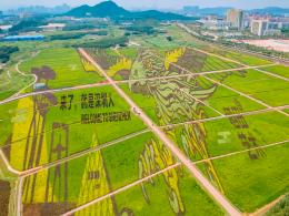 光明小镇欢乐田园