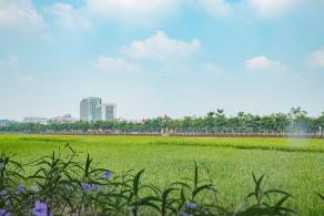 光明小镇欢乐田园