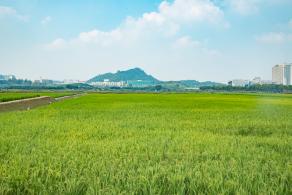光明小镇欢乐田园