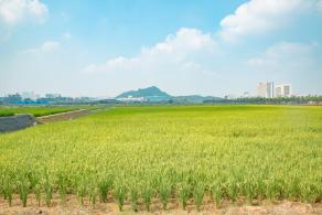 光明小镇欢乐田园