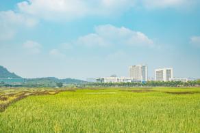 光明小镇欢乐田园
