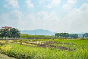 光明小镇欢乐田园