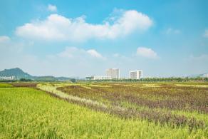光明小镇欢乐田园