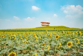 光明小镇欢乐田园
