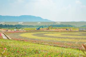光明小镇欢乐田园