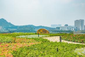 光明小镇欢乐田园