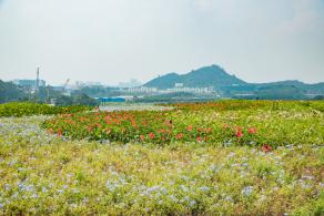 光明小镇欢乐田园