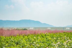 光明小镇欢乐田园