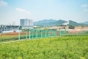 光明小镇欢乐田园