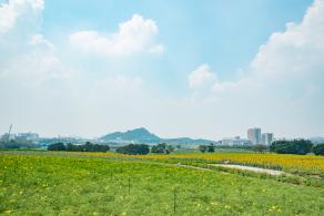 光明小镇欢乐田园
