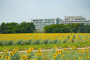 光明小镇欢乐田园