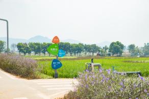 光明小镇欢乐田园