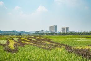 光明小镇欢乐田园