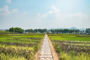 光明小镇欢乐田园