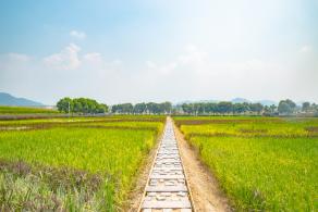 光明小镇欢乐田园