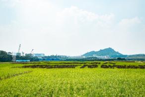 光明小镇欢乐田园