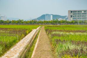 光明小镇欢乐田园