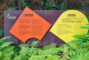大顶岭绿道